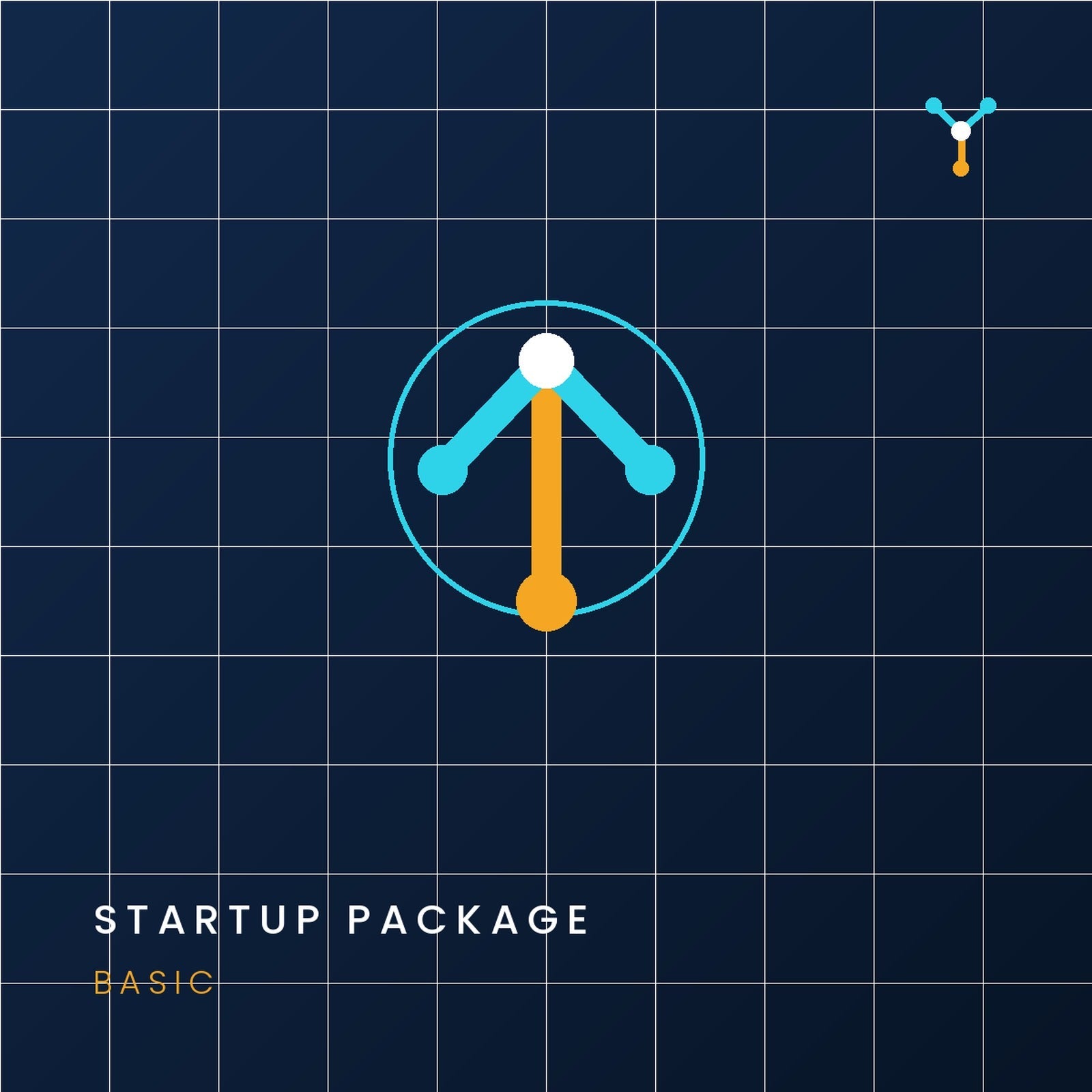 SYN Digital Production — Startup Launch Package Basic